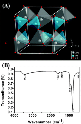 Simulated crystal structures of tetragonal LuVO4 (A), and the FT-IR spectrum (B) of LuVO4 sample.