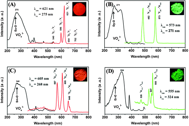 Excitation and emission spectra of LuVO4:5 mol% Eu3+ (A), LuVO4:5 mol% Dy3+ (B), LuVO4:5 mol% Sm3+ (C), and LuVO4:5 mol% Er3+ (D). The insets are the corresponding luminescence photographs of the samples upon excitation at 254 nm with a UV lamp.