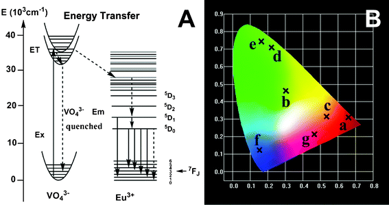 (A) The scheme for the VO43−–Eu3+ energy transfer and Eu3+ emission processes and (B) the CIE chromaticity diagram showing the emission colors for the as-prepared LuVO4:Eu3+ (point a), LuVO4:Dy3+ (point b), LuVO4:Sm3+ (point c), LuVO4:Er3+ (point d), LuVO4:Yb3+/Er3+ (point e), LuVO4:Yb3+/Tm3+ (point f), and LuVO4:Yb3+/Ho3+ (point g).