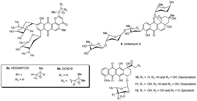 Natural sugar-containing quinones 8–12 with anticancer activity.