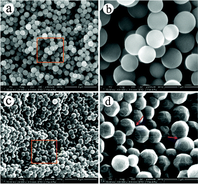 SEM images of CCMs (a, b) and MCPs (c, d) at different magnification.