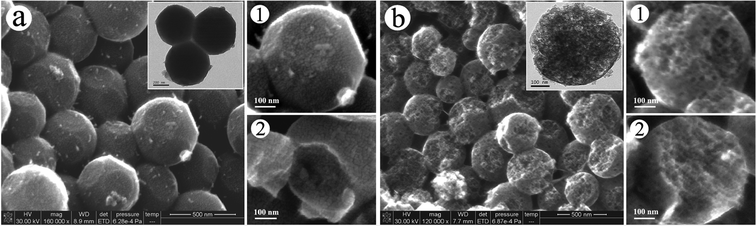 High-resolution SEM images of (a) MCP precursors and (b) MCP hemispheres (the inserts are the corresponding TEM images).