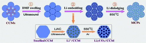 Schematic illustration of the synthetic procedure of the MCPs.