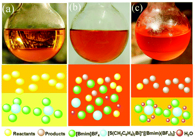 The cross-condensation reaction of benzaldehyde with cyclohexanone over organobismuth complex 25b in the presence of propylamine in [Bmim]BF4: facts and model. (a) At the begin of reaction, the bottom layer is [Bmim]BF4 and catalyst 25b; (b) homogeneous mixture during reaction; (c) the reaction system becomes heterogeneous at completion of reaction: the upper layer is composed of the product (α,β-unsaturated ketones) and unconsumed reactants while the lower layer [Bmim]BF4, complex 25b, and water generated in the reaction. (Image reproduced from ref. 36 with permission of the Royal Society of Chemistry).36