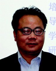 Xinhua Xu