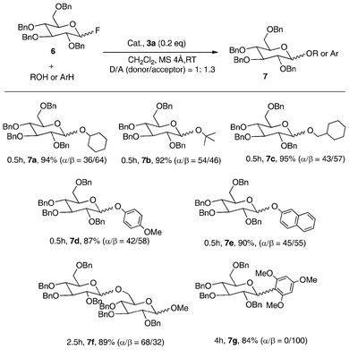 Glycosylation with glycosyl fluoride catalyzed by 3a.8