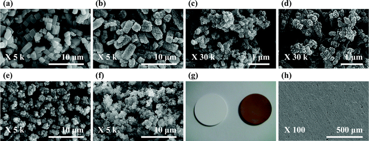 SEM and digital image of COF-1 and COF-5: (a) BDBA, (b) entry 1, (c) entry 4, (d) entry 5, (e) entry 8, (f) entry 14, (g) digital image of a COF-5 film (left: original alumina disc, right: COF-5-coated alumina disc), and (h) COF-5 film (top view).