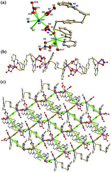 (a) Thermal ellipsoid (50%) plot of 2 showing the coordination environment of Cd(ii) ions. (b) The ball and stick view of the 1D chain. (c) The 2D 63-hcb net (symmetry codes: (i) −x + 3/4, y + 1/4, z − 1/4; (ii) x, y, z + 1). Color legend: Cd, purple; S, yellow; C, gray; O, red; N, blue.