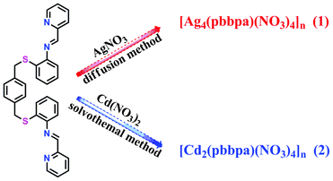 Synthetic procedures for Ag(i) and Cd(ii) complexes based on the S2N4 di-schiff base ligand.