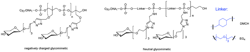 Structures of linear comb-like glycomimetics obtained by functionalization inter77,79 and on phosphodiester linkages.90,91