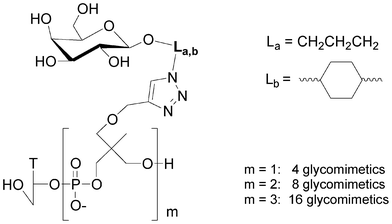 Libraries of galactoclusters synthesised by combinatorial click chemistry.