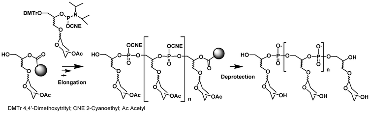 Synthesis of glycoclusters by phosphoramidite chemistry.