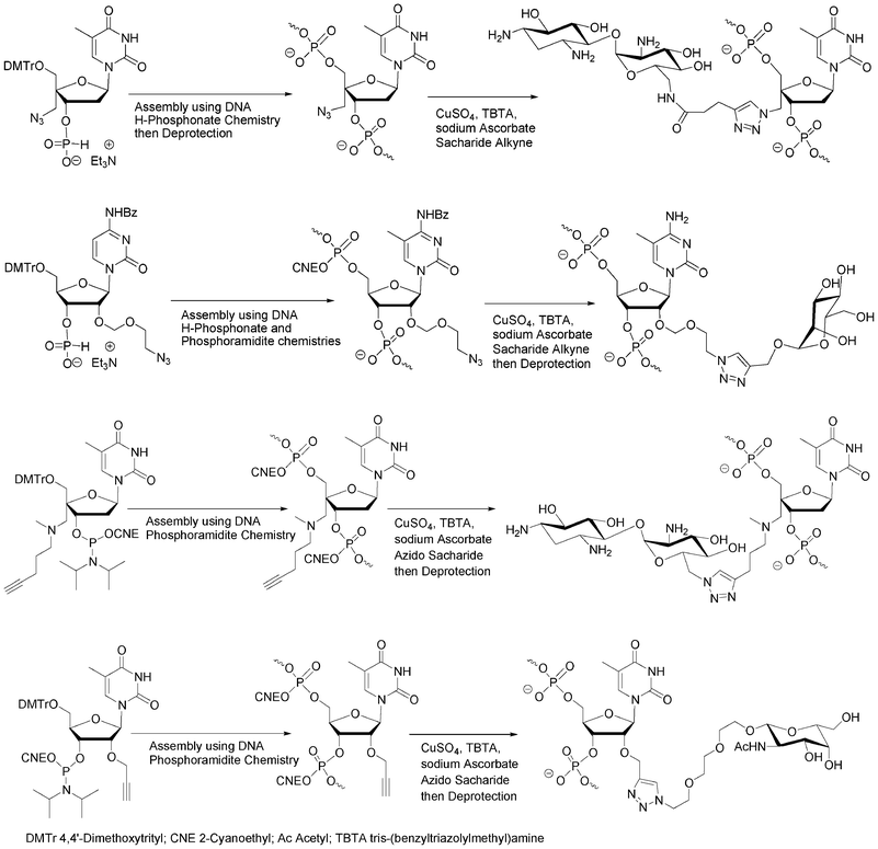 Azido68,69 and alkyne70,71 nucleosidic building blocks to obtain oligonucleotide-saccharide conjugates using CuAAC.