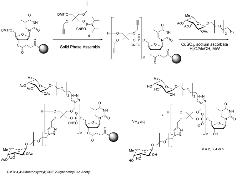 Solid phase synthesis of antenna-like fucosylated pentaerythrityl phosphodiester oligomers.