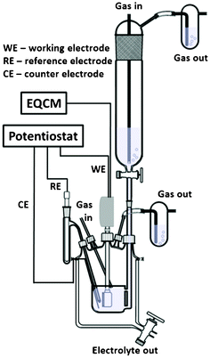 A schematic drawing of the electrochemical cell