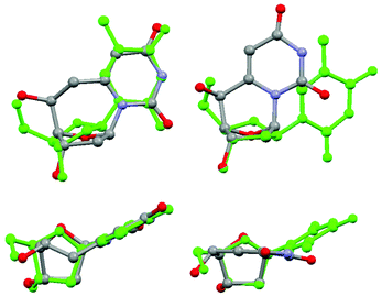 A front and top view of 6,6′-(S)-cyclo-2′-deoxyuridine, shown on the left, compared to 6,5′-(S)-cyclo-2′-deoxyuridine on the right. Both are overlayed with thymidine.