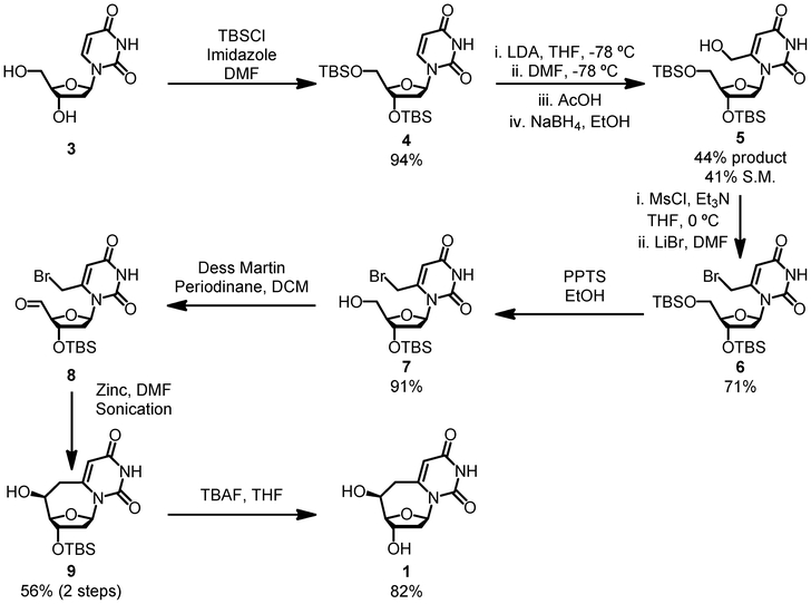 The synthesis of 6,6′-(S)-cyclo-2′-deoxyuridine.