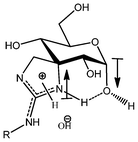 Dipoles and intramolecular hydrogen bond postulated for unprotected guanidines 6a–c.