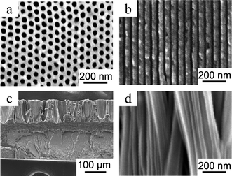 SEM images of an AAO template with a pore diameter of 35 nm and a slice of iPS/PPO nanorods/film prepared with the AAO template: (a) bottom view and (b) cross section of the AAO template; (c) cross section of the polymer nanorods connected with the bulk film; (d) nanorods.