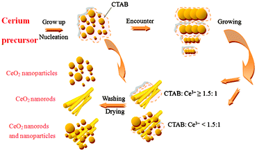 Schematic diagram of the proposed mechanism for the formation of the CeO2 nanostructures at room temperature.