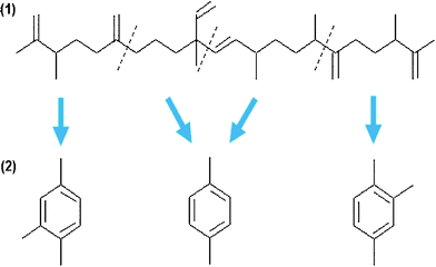 Pathways of production of aromatic hydrocarbons from a botryococcene: (1) cracking, and (2) aromatization. Modified from Ref. 149.