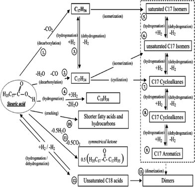 Tentative reaction routes for deoxygenation of stearic acid over a heterogeneous catalyst at 300 °C under inert atmosphere.172