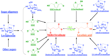 Reaction network for the formation of levulinic acid/ester from the sugars and furans in water-like phase of bio-oil. MMF: 5-(methoxymethyl)-2-furancarboxadhyde; HDMF: 5-(hydroxymethyl)-2-(dimethoxymethyl)furan; DMMF: 2-(dimethoxymethyl)-5-(methoxymethyl)furan.