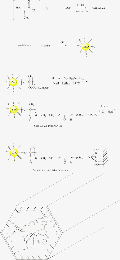 Scheme of synthesis process of ZnO-MAA, ZnO-MAA-PHEMA, ZnO-MAA-PHEMA-Si, ZnO-MAA-PHEMA-SBA-15 and the final hybrids Ln(ZnO-MAA-PHEMA-SBA-15)(L)3.