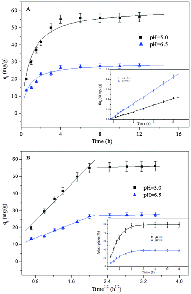 The adsorption kinetics of As(v) onto MGO, T = 298 K, C[As(v)] = 25 mg L−1, m/V = 0.4 g L−1, symbols represent experimental data, solid lines represent the kinetic model fitting. The inset in (A): the pseudo-second-order model fitting and (B): intra-particle diffusion model fitting.