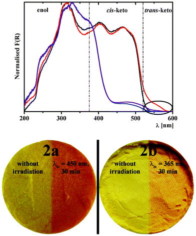 Kubelka–Munk spectra of 2a before (black) and after (red) irradiation at 450 nm for 30 min at 298 K, and of 2b before (blue) and after (purple) irradiation at 365 nm for 30 min at 298 K. The circle highlights the increase of the trans-keto band upon irradiation, which is observed for both 2a and 2b. The photographs show the effect of light irradiation on the colour of powders of 2a and 2b at 298 K, as described above.