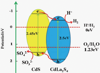 The proposed photocatalytic H2-evolution mechanism for the CdS/CdLa2S4 composite, and the calculated conduction band and valence band potentials of CdS and CdLa2S4, respectively.