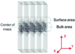 A schematic diagram of surface areas obtained by computer simulation.