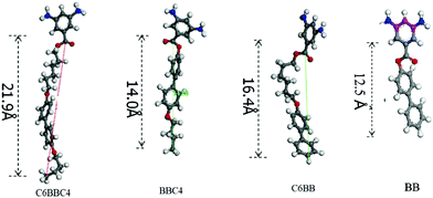 Energy-minimized structures of functionalized diamines.