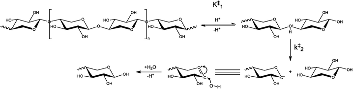 The proposed mechanism for the hydrolysis of xylan, initiated by the reversible protonation of a β-1,4 glycosidic linkage (where K‡1 is the associated equilibrium constant), followed by the rapid formation of an oxonium cation (with rate constant k‡2) and subsequent rapid hydration to xylose.