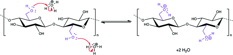 Equilibrium protonation reaction of the C5 hydroxymethyl oxygen of cellulose in the presence of a strong acid.