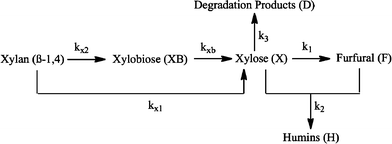 The xylan hydrolysis scheme used in kinetic modeling.