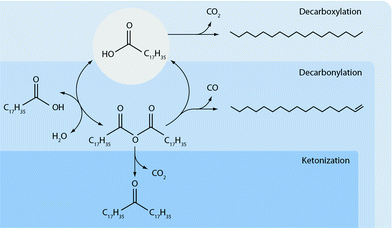 Suggested deoxygenation pathways of stearic acid at 523 K in the absence of external hydrogen.