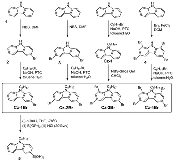 Synthetic pathway to the brominated carbazole derivatives and boronic acid.