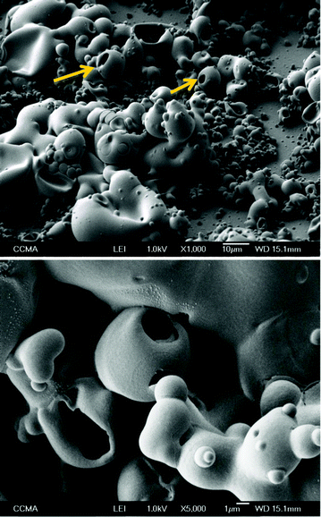 SEM images of electrodeposited PEDTP-F4; magnification × 1000 and × 5 000; Qs = 1000 mC cm−2.