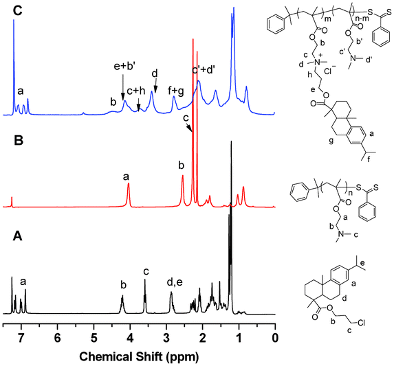 
            1H NMR spectra: (A) 3-choloropropyl-dehydroabietate (1); (B) PDMAEMA before quaternization; and (C) PDMAEMA after quaternization.