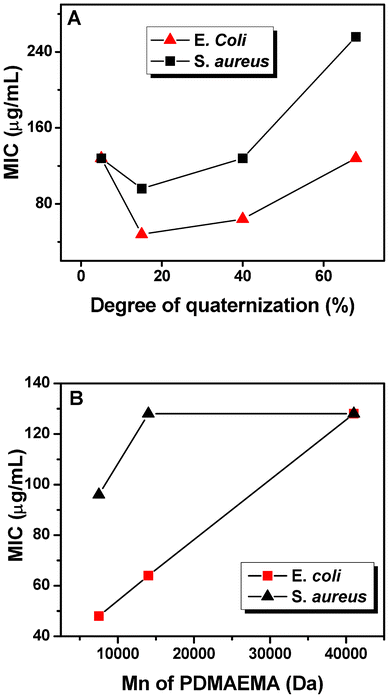 The MIC of PDMAEMA-g-rosin against E. coli and S. aureus with (A) different degree of quaternization (Polymers 2, 3 and 4) and (B) molecular weight of PDMAEMA (Polymers 2, 5 and 6).