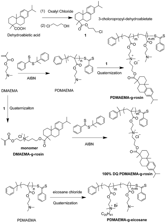 Synthesis of quaternary ammonium-containing PDMAEMA copolymers with rosin as pendant group (PDMAEMA-g-rosin).