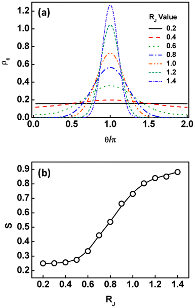 (a) Volume fraction ρθ of the Janus nanoparticles at the interface as a function of the angles θ at different sizes of the Janus nanoparticles. (b) Order parameters of the Janus nanoparticles at the interface as a function of the nanoparticle size RJ.