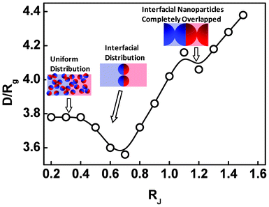 Lamellar spacing D/Rg as a function of the size RJ of the Janus nanoparticles.