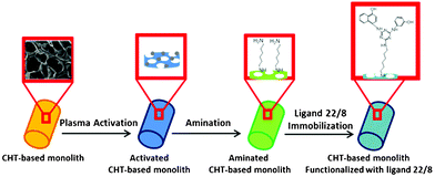 Schematic showing the functionalization strategy of chitosan-based monoliths with ligand 22/8 using non-thermal plasma surface activation.