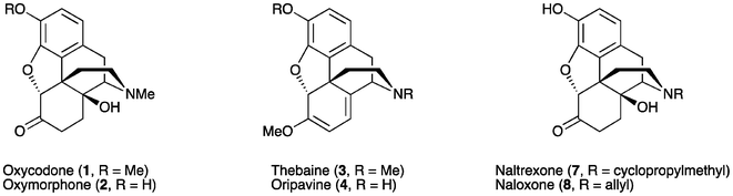 Examples of 14-hydroxymorphinane-based pharmaceuticals and precursors.