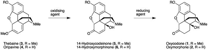 General approach for the synthesis of 14-hydroxy opioids.