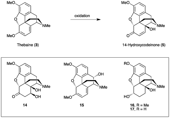 Oxidation of the C-ring diene of thebaine (3) and the associated by-products.