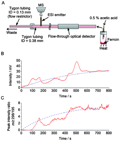 Application of the hyphenated system—incorporating the home-made optical detector (cf.Fig. 1) and mass spectrometer—in the monitoring of the chemical current due to convection. (A) Experimental setup. Nominal volume of the vial is 20 mL. The vial was completely filled with ∼21 mL the aqueous medium containing the internal standard (caffeine). (B,C) Measurement of the relative changes in the concentration of ferroin in the course of convection. (B) Optical detection; the raw data (red solid line) were fitted with an exponential function (f(t) = 31 × (1 − e(−0.0035t)), blue dashed line). (C) MS detection; the smoothed data were fitted with an exponential function (f(t) =7.5 × (1 − e(−0.0030t)), blue dashed line). The data acquisition with MS started 132 s after the start of the data acquisition with the optical detector in order to compensate for the dead-volume delay.