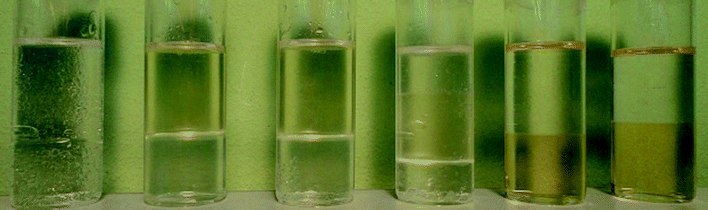 Photograph of the biphasic and triphasic mixtures of the ternary system (water + [P6 6 6 14]Cl + dodecane) selected for determination of thermophysical properties. See Fig. 2 for composition and numbering of the samples.